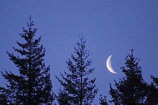 By moonlight, Oregon