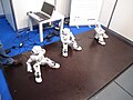 die Nao-Robots