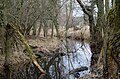 Nature reserve Moenchbruch