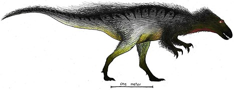 Orkoraptor drawing.jpg