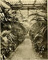 "The_Gardeners'_Chronicle_-_a_weekly_illustrated_journal_of_horticulture_and_allied_subjects_(1895)_(14743272676).jpg" by User:Fæ