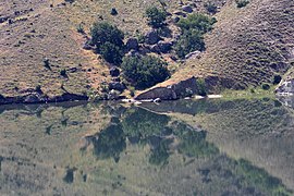 Reflections in Çamlıca Dam Lake, Suşehri 02.jpg