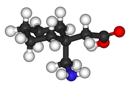 Gabapentin 3D.png