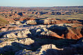   Painted Desert       Petrified Forest       National Park