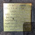 image=https://commons.wikimedia.org/wiki/File:Stolperstein-Ruchla-Mansklajd.jpg