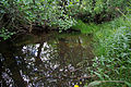 Río Ceide, afluente del Río Omaña