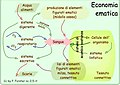 Economia ematica. Vedi it.Wikipedia Sangue