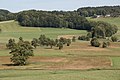 Naturschutzgebiet Oicthenriede (Nußdorf am Haunsberg) Oichtenriede nature reserve (Nußdorf am Haunsberg)