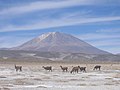 osmwiki:File:Salar Uyuni au02.jpg