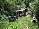 English: In the forest near Saltaus, Italy