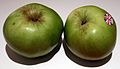 Bramley Apples