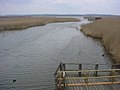 Federsee, Germany's largest united bog