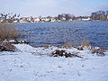 der Tiefe See in Potsdam im Winter.