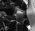 Thumbnail for File:Radial Aircraft Engine.JPG