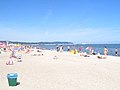 beach and pier