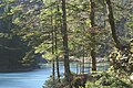 von der Rappenlochschlucht weiter zum Staufensee