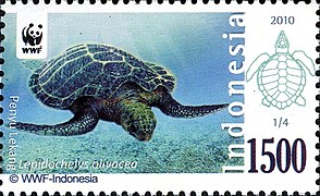 Stamp of Indonesia - 2010 - Colnect 379656 - Olice Ridley Turtle Lepidochelys olivacea.jpeg