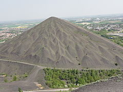 Loos-en-Gohelle - Terrils n° 74, 74A et 74B, 11 - 19 de Lens Est, Ouest et Nouveau (034).JPG