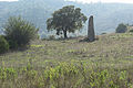 Menhir near Tortolì