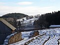 Waldviertel bei Weikertschlag, Gemeinde Bad Großpertholz