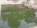 Water Tank at Bhairi temple, Ratnagiri