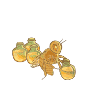 202208 European honey bee storing honey.svg