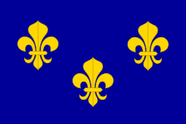 Royal flag of France.svg