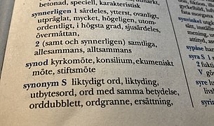 Synonymer till "synonymer".jpg