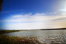 Moulouya river.jpg