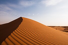 Sand Dunes sa.jpg