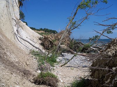 Chalk cliffs in Jasmund National Park, Mecklenburg-Vorpommern © Gillys.-tosh6.1d