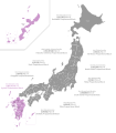 Kyūshū Proportional Block