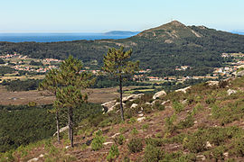 Piñeiros dende o miradoiro da Pedra da Ra. Ribeira. Galiza R26.jpg