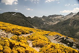 Piornal circo de gredos 02.jpg