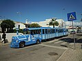 Tourist Train