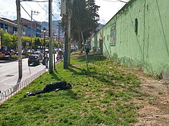 Cusco Peru- Mercado de Wanchaq- drunken man passed out on public market lawn.jpg