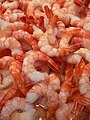 prawns