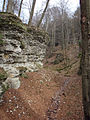 Deutsch: Die Bielsteinschlucht bei Feldrom English: Bielstein canyon near Feldrom