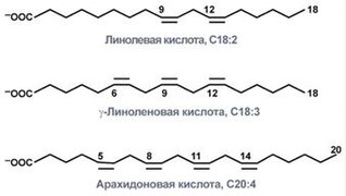 S03-stroenie-vitamina-f.jpg