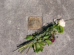 newly layed Stolperstein in Ulm