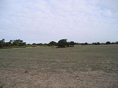 Vista Oeste de la parcela donde se construirá la escuela Superior de Ingeniería. A la izquierda se localiza un camino de tierra que recorre el límite occidental de la parcela. - panoramio.jpg