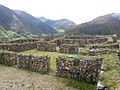 Inka Ruine Vitcos - Rosaspata