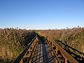 bridge over river