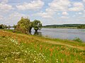 Oder River dike in Zollbrücke