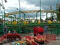 Circus Festival 2007: Children's train