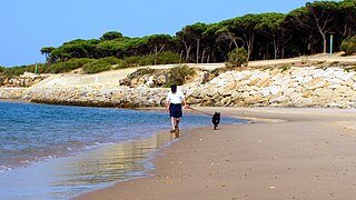 Playa de El Aculadero (8977301755).jpg