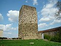 Buckelquader am Bergfried "Roter Turm" (2.Hälfte 12.Jh.) der Kaiserpfalz Wimpfen,Baden-Württemberg