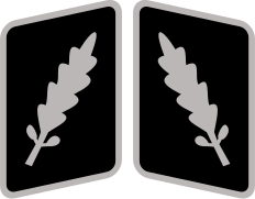 SS-Standartenführer Collar Rank.svg