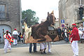 Le cheval marin, animal totémique.