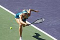 BNP Paribas Open